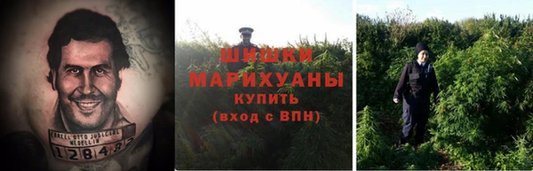 спиды Иннополис