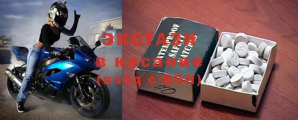 индика Протвино