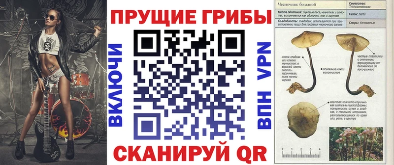 Галлюциногенные грибы MAGIC MUSHROOMS  где можно купить   Макушино 